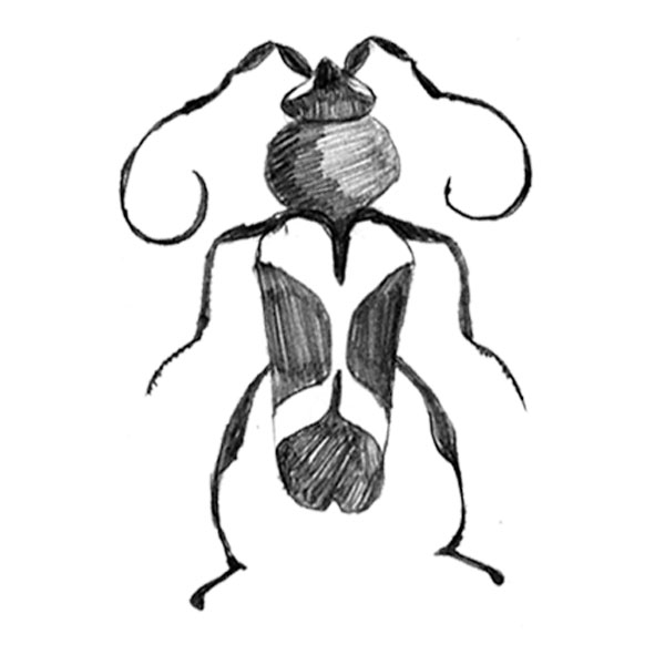 #2072 - Bug - Nature